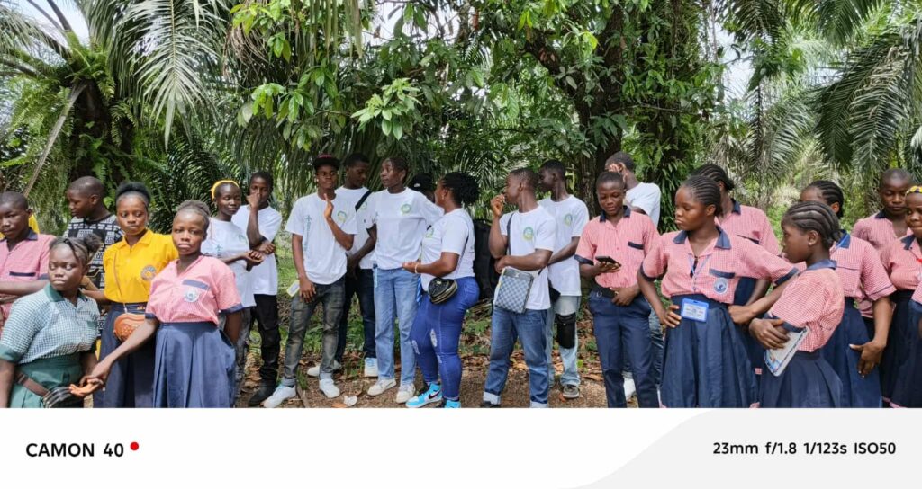 702397c7-d0d7-4cbd-bb4f-828d83118bf1