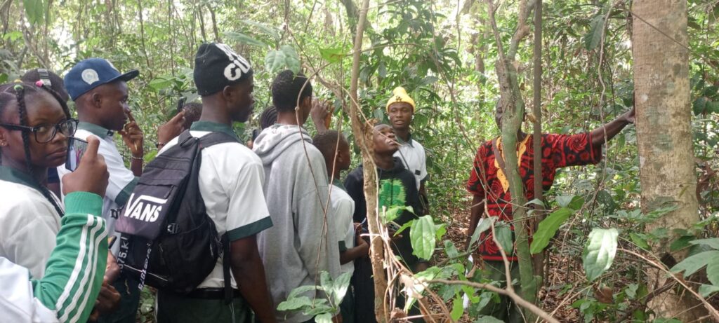 ab62fbc7-e613-44da-90ab-15bdce52e52e