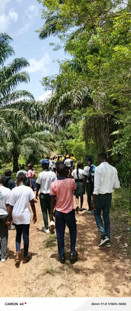 c1646fe2-9f6a-4e80-87bf-c273c7b67195